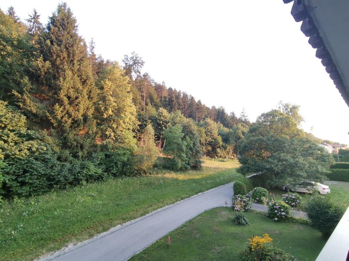 Privatzimmer Steiner Weitendorf  Εξωτερικό φωτογραφία